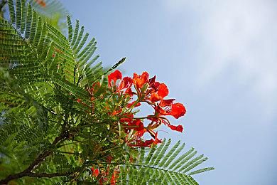 《牧场模拟器》Steam正式发售 特别好评真实种地模拟